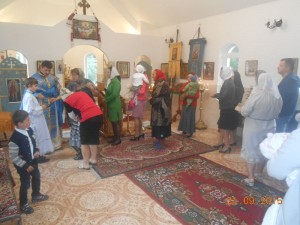 DSCN4517
