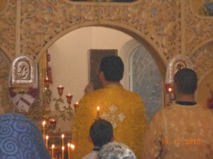DSCN5006