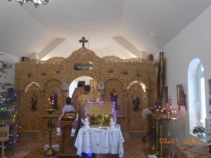 DSCN5232