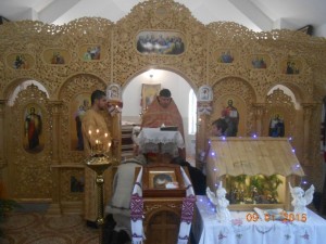 DSCN5233