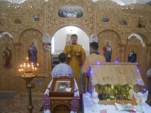 DSCN5289