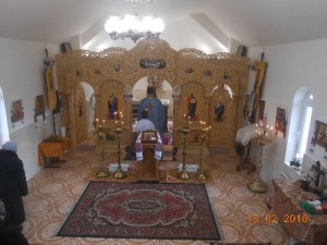DSCN5520