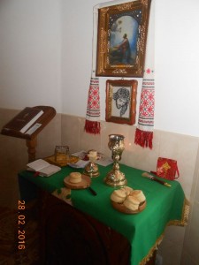 DSCN5596