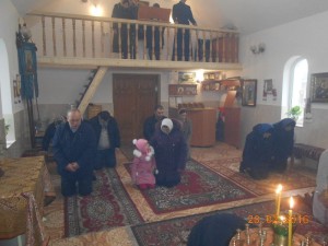 DSCN5609
