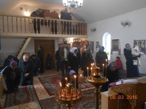 DSCN5657