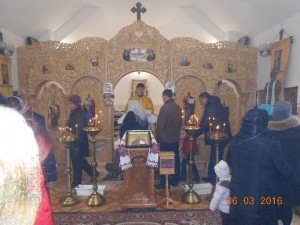 DSCN5660