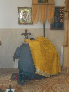 DSCN5812