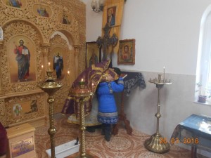 DSCN5845