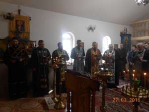 DSCN5917