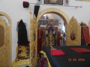 DSCN6040