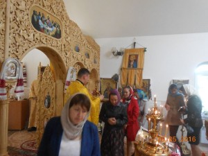 DSCN6535