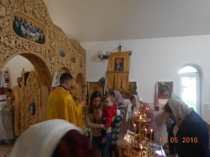 DSCN6537
