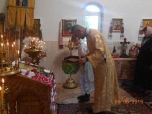 DSCN6656