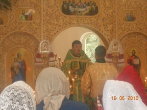 DSCN6767