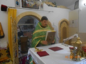 DSCN6787