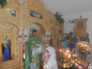 DSCN6797