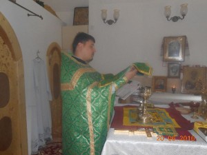 DSCN6809