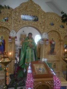 DSCN6817