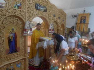 DSCN6869