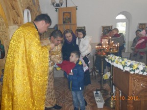dscn7733