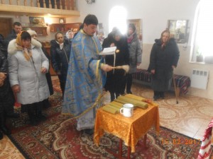 DSCN8613