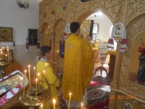 DSCN8669
