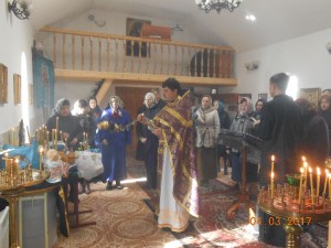 DSCN8711