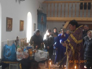 DSCN8713