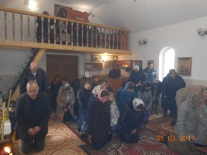 DSCN8718