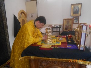 DSCN8731