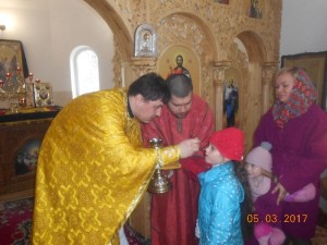 DSCN8741