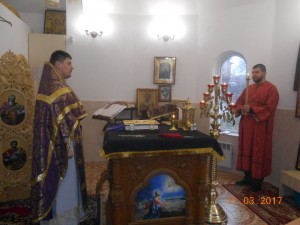 DSCN8761