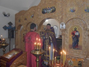 DSCN8774