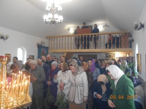 DSCN9164