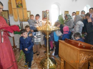 DSCN9185