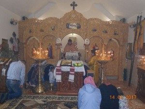 DSCN0114