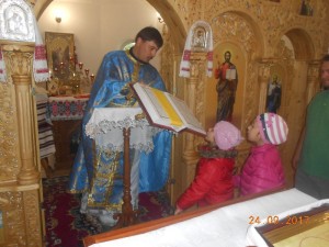 DSCN0368