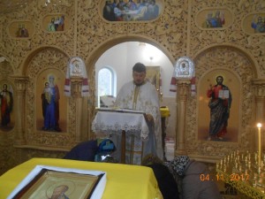 DSCN0646