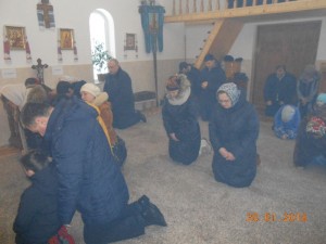 DSCN1194 (4)