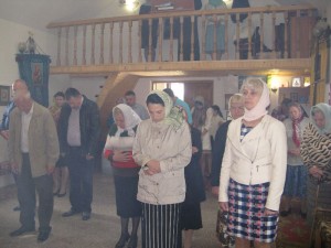IMG_0442