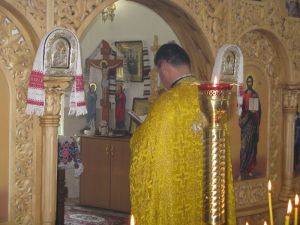 IMG_0729