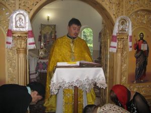 IMG_0739