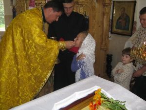 IMG_0802