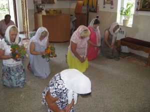 IMG_0867