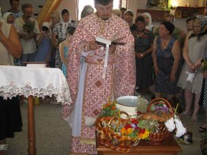 IMG_0879