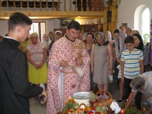 IMG_0894