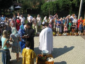 IMG_0917