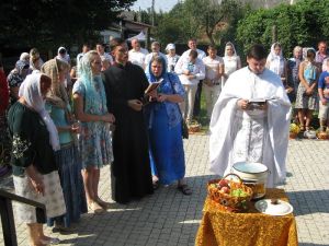 IMG_0932