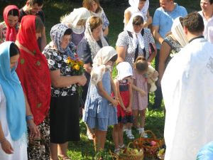 IMG_0941