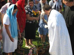 IMG_0942